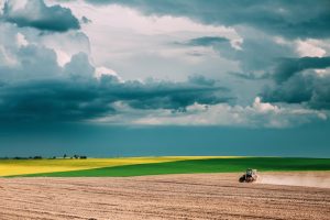 bezpłatne odrolnienie, wycena a odrolnienie, wycena nieruchomości dla potrzeb odrolnienia, zmniejszenie kosztów odrolnienia, rzeczoznawca majątkowy Rokietnica