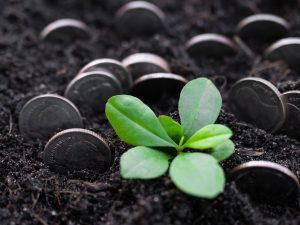 koszty odrolnienia działki, kary za brak odrolnienia